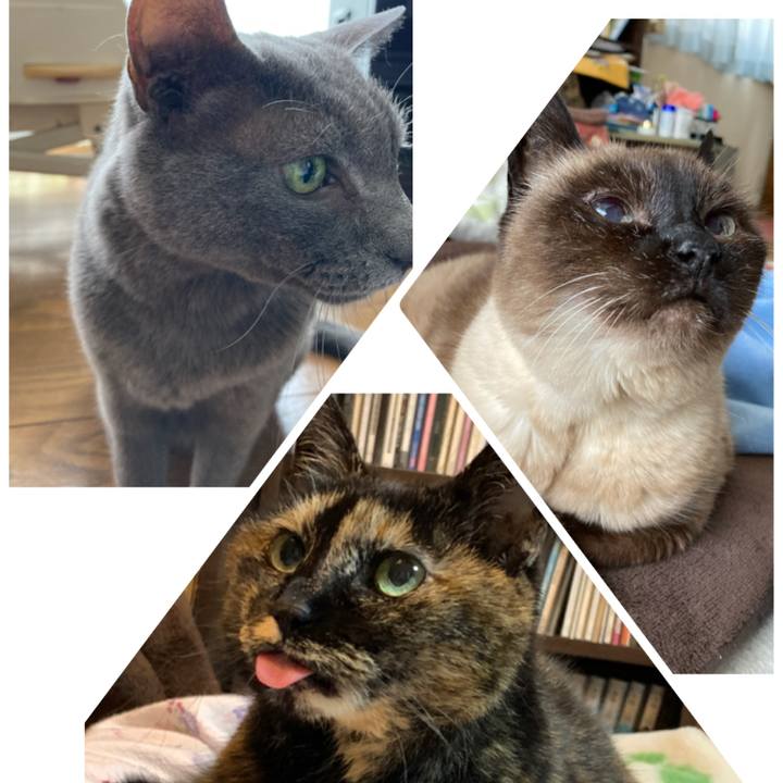 8a5675a7 37fa 4618 a4ba 44dbd32fe793 1620088951950