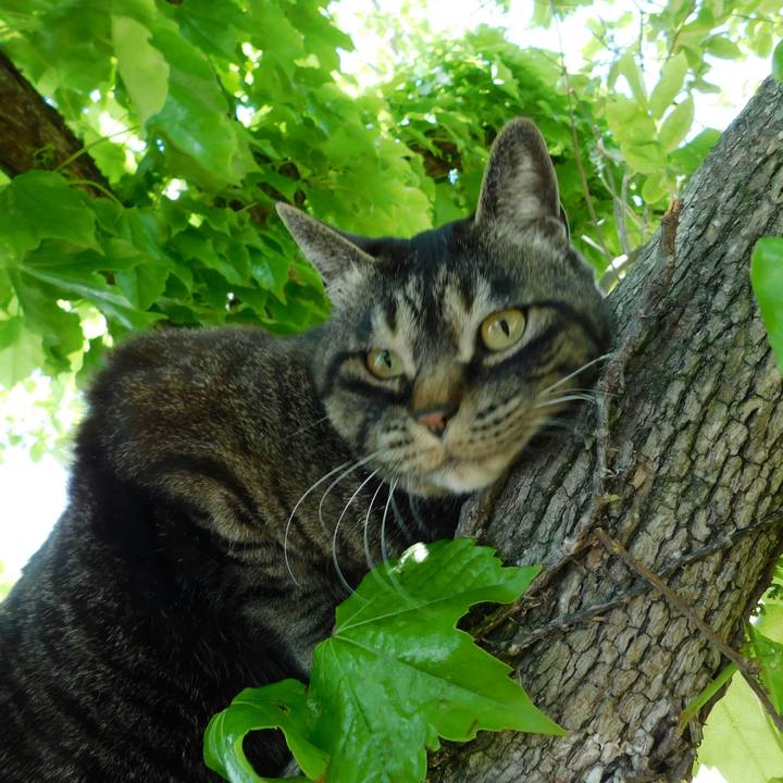 8a56d917 395e 4849 8c55 66b7b5e884c3 1620383724308