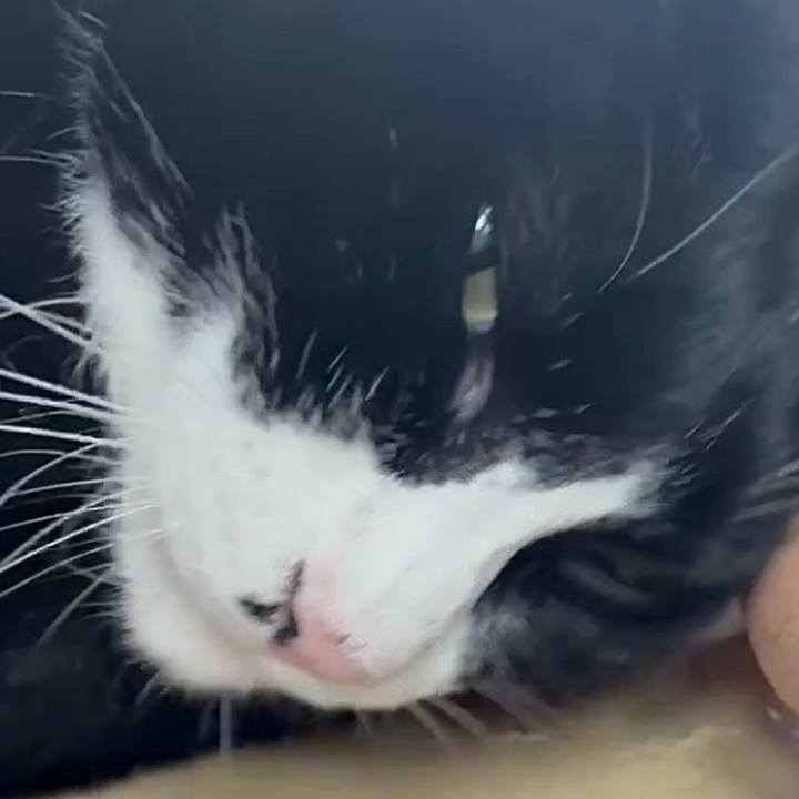 8a56e8e6 0dd3 479d b7cd d13e0d1dfeb5 1762051785828