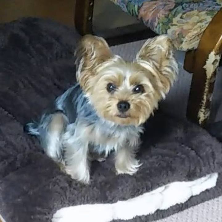 8a56ebc6 919c 46cb bdb0 123d69e39884 1597190643866