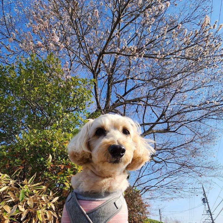 8a56f4c1 608e 4a97 bacf c4fe1d4a2bc0 1767064344715