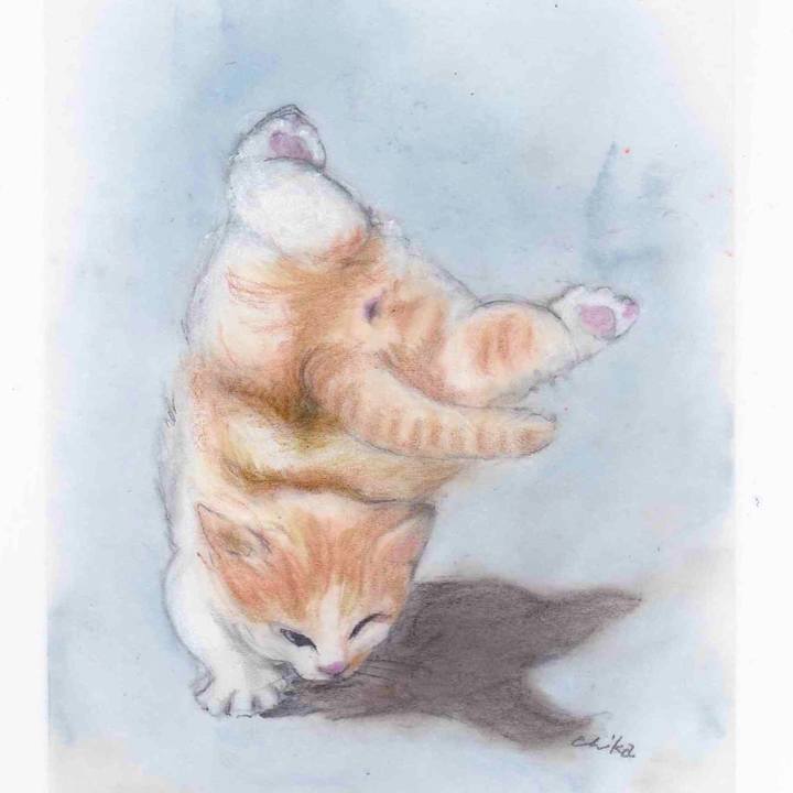 8a56fe95 eb5f 44b6 9111 6ca961ac45aa 1579620132281