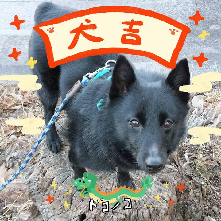 8a5757fe 6ebe 4c79 8d72 4c770f40ec8c 1704167918501