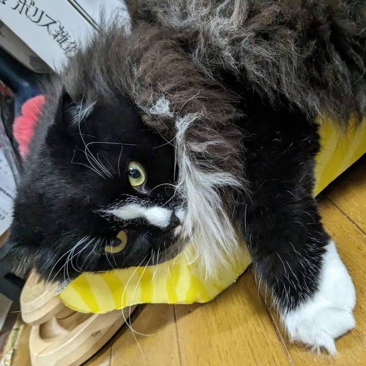 8a5761d3 4fe4 4a92 ac1b 11ed50219a65 1692440470624