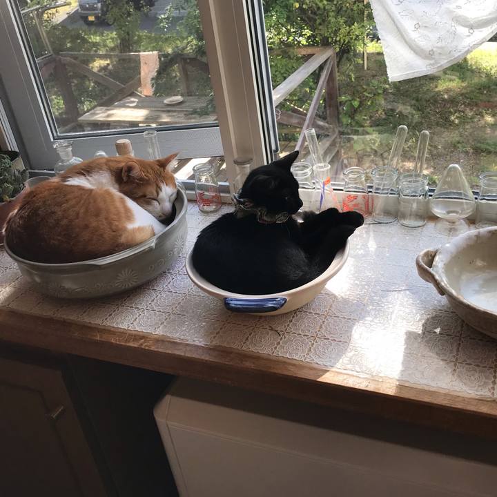 8a5792e3 a85f 48c0 b3cc f9b19f1fb0c3 1567948336146