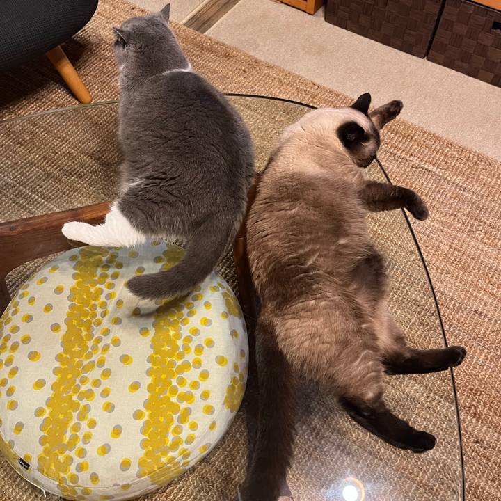 8a57c519 44c0 4664 8fdb c186863fcadb 1694846244849