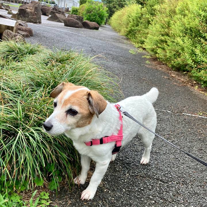 8a57fffa d981 4a20 adb4 8aa25ed5fc75 1714437220921