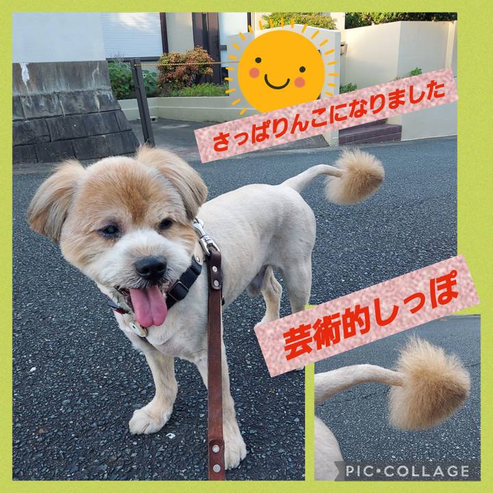 8a581cc8 ad13 4bdc 8bc5 36f4e10b2c60 1659953848546