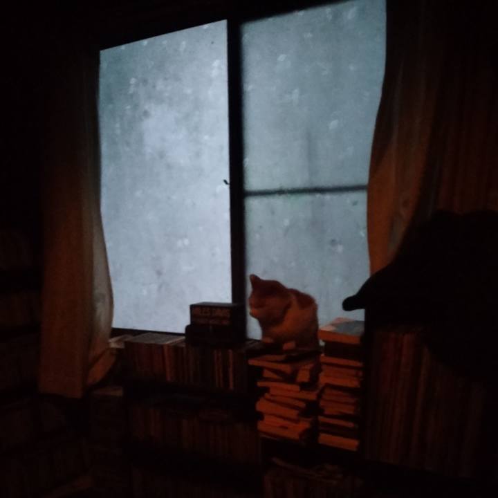 8a585824 658d 4bcd b44e f96da6c70f0b 1767143083844