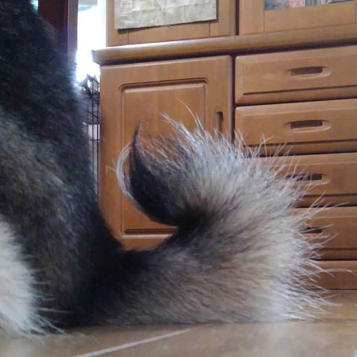8a58803c 2899 4a20 8531 497eb37afa0a 1539735811189