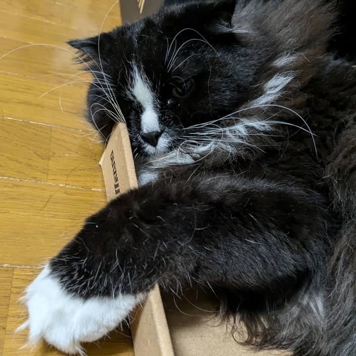 8a588bc7 deb5 419c a0e2 a5b7b687d530 1721337753018