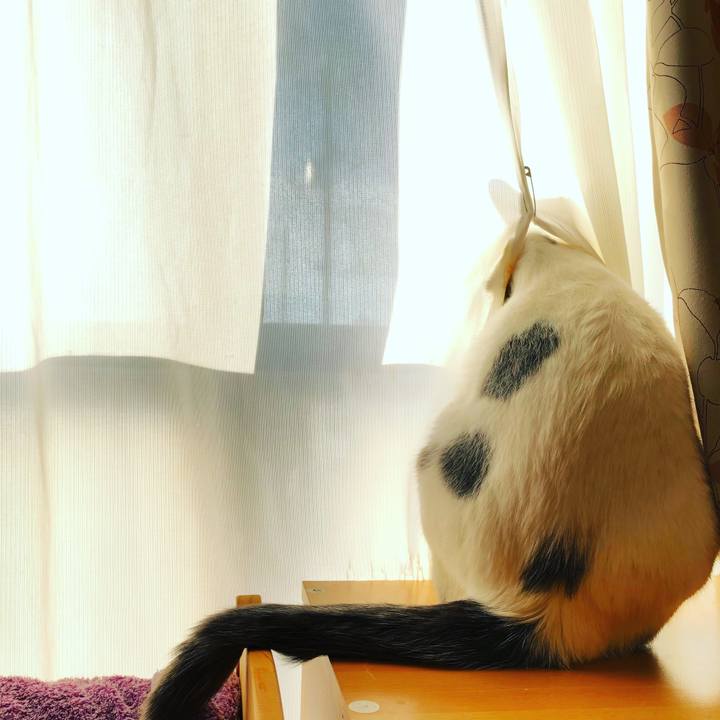 8a58a841 c748 48b3 a35a 2082fcab0b74 1511570799009