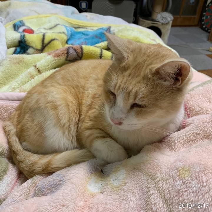 8a58b592 5ac5 4803 90f0 f1213c03cbec 1576586886959