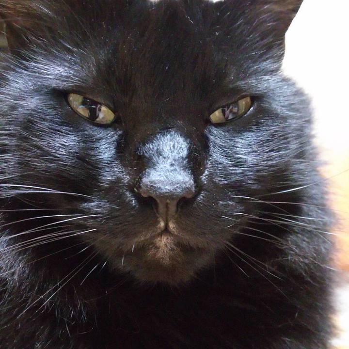 8a590327 b6c0 453e a13e 03f05948937d 1514387508082