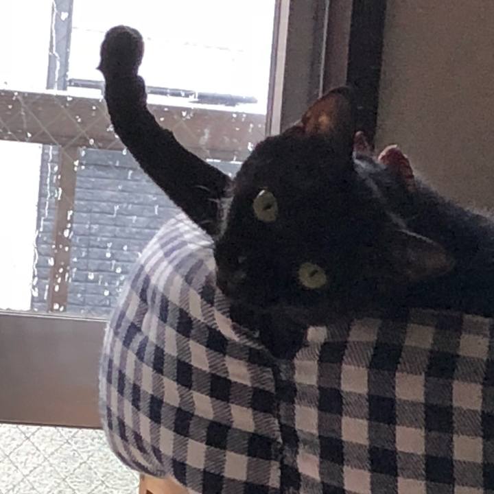 8a590f66 d33e 4576 bedd e57a1ed08290 1530946063354