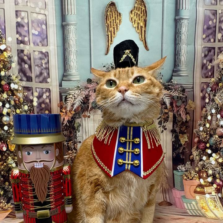 8a59223f 541c 4ea5 915a 39803ae3846b 1766472105129