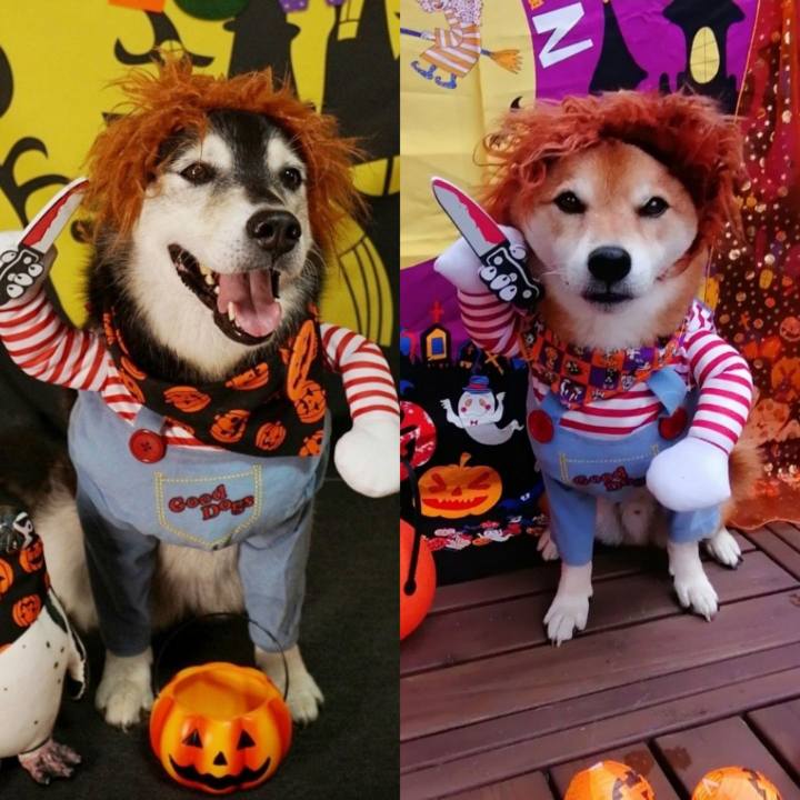 8a593f2b 5099 435e aa7b d12206888dde 1635853698212