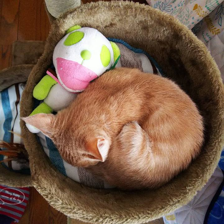 8a594596 20bf 4f4b 994a b1c4676e5aec 1541905930032