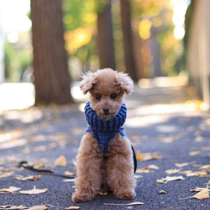 8a5948a4 9a3c 4836 a683 7a23eae89f29 1637664053678