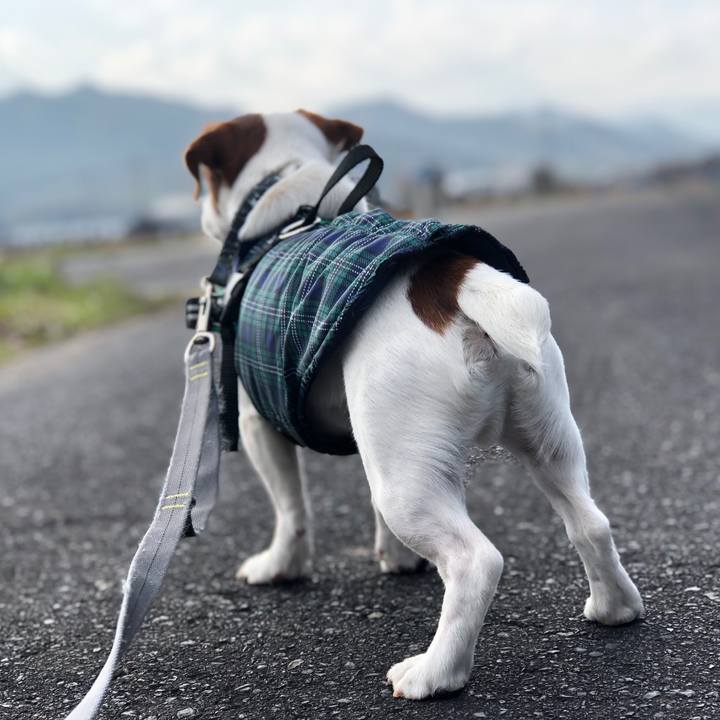 8a597e37 f584 4e0c ac9e 1928a9f0c662 1546939081563