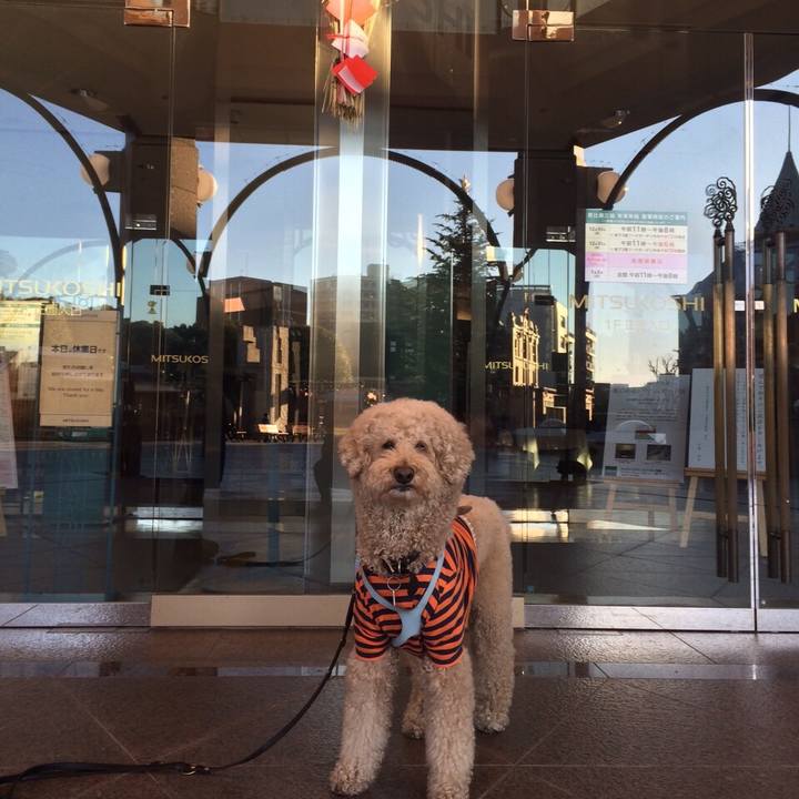 8a598f95 625a 4752 a96b 022791654640 1546160562273