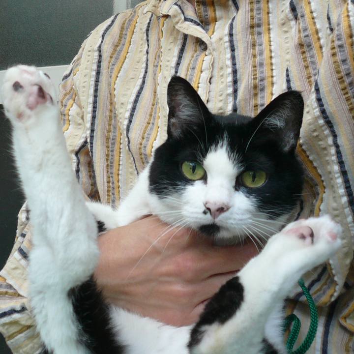 8a5a1fdc 7099 4d38 aae7 09e92487e933 1612400733135