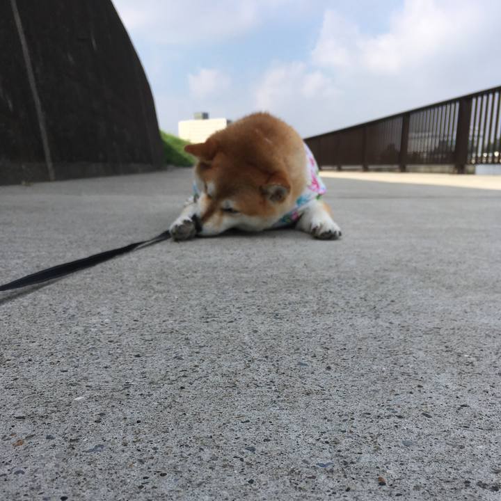 8a5a7b2b 8526 4f79 8319 2bf8ca86fbfe 1567380910837