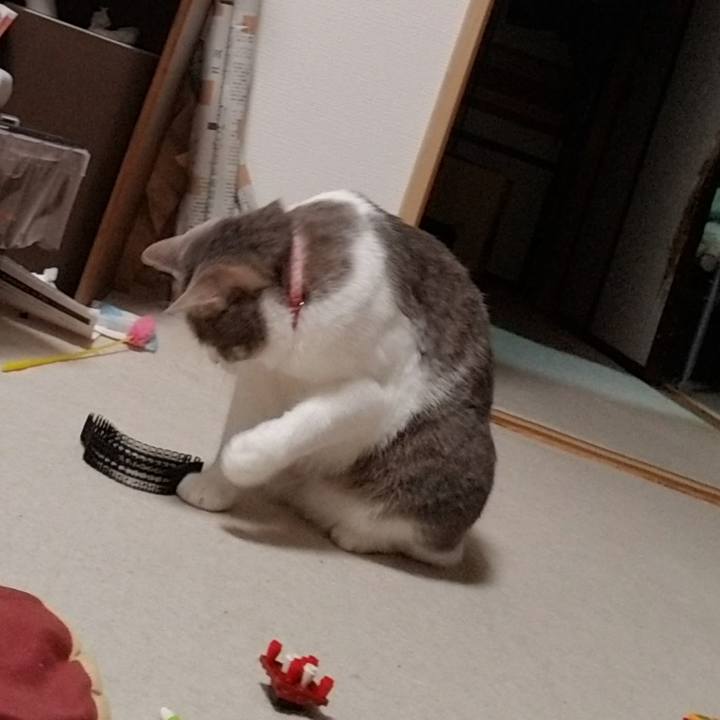 8a5aba00 9377 4569 b4b9 80345fdae277 1589540901731