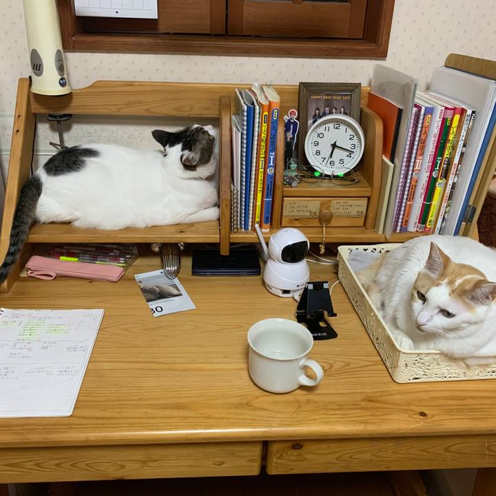 8a5ad378 63e0 4a79 965e d12430b23007 1645826230351