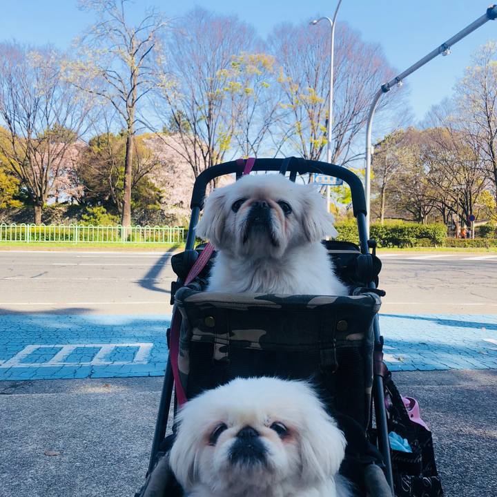 8a5aec0b 7e0f 4710 8e7a 5a7f44ff598b 1586074500777