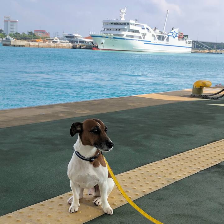 8a5b1557 5125 4ac9 9048 16fd28fd3c9d 1572680892655