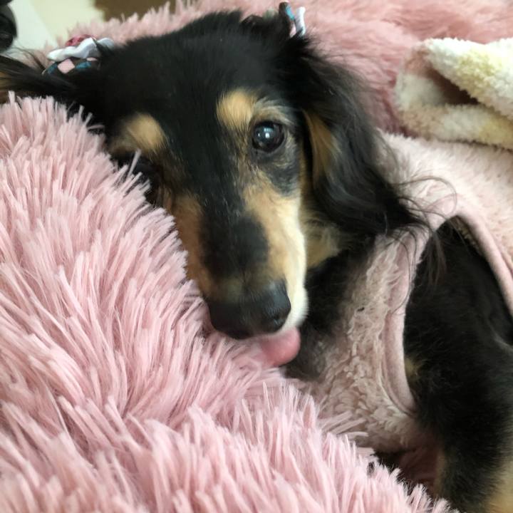 8a5b2ec4 09dd 4c35 86dc 263866045405 1613824078769