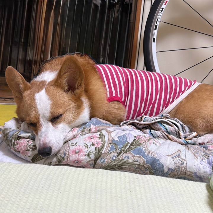 8a5b9ce6 fdbf 4233 b016 a342eee5ba92 1771858735770