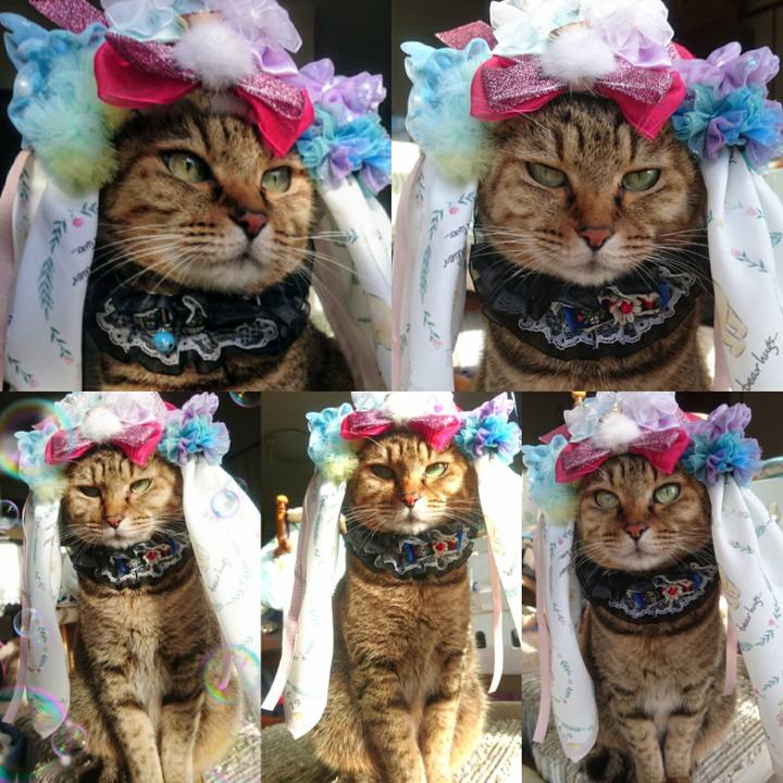 8a5ba2d3 c797 482f bdfa fc725150fa88 1765068627695