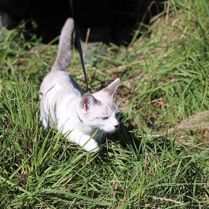 8a5bfd1d d196 4b4e bc76 9048221dde8b 1605817537626