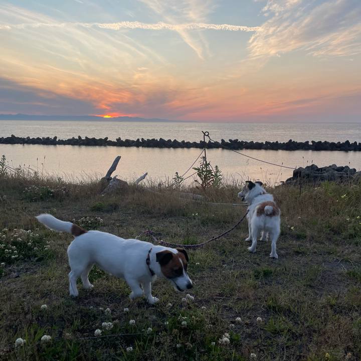 8a5c100a 7682 4944 b9cc f9c1c3d37574 1749814890154