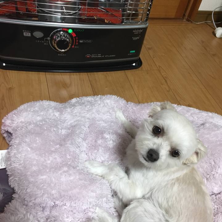 8a5c1258 ee4f 4070 8d03 086f0109a4e1 1508316824061