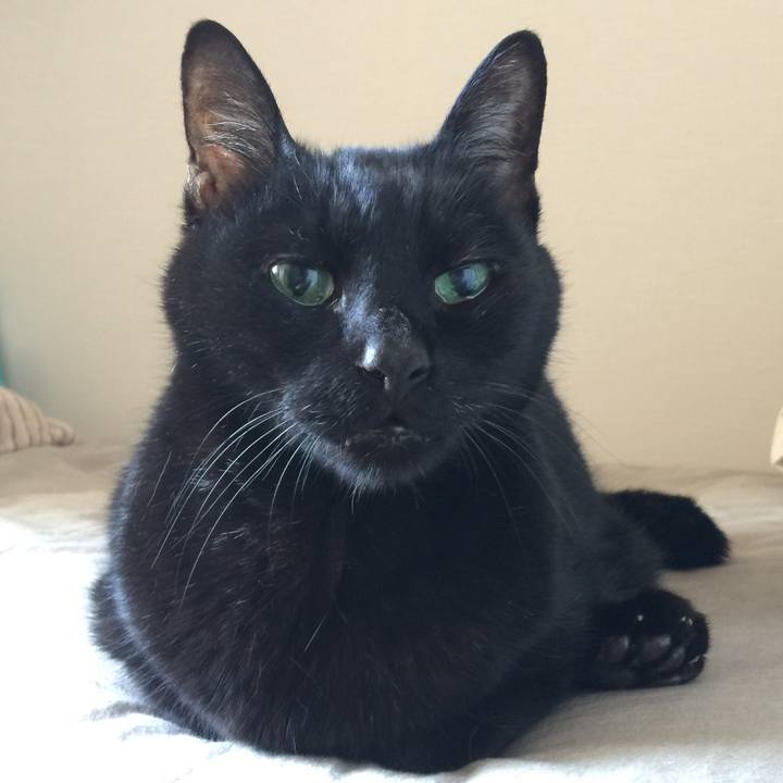 8a5c19ee 2636 4918 be7d 92778b53824a 1524960345655