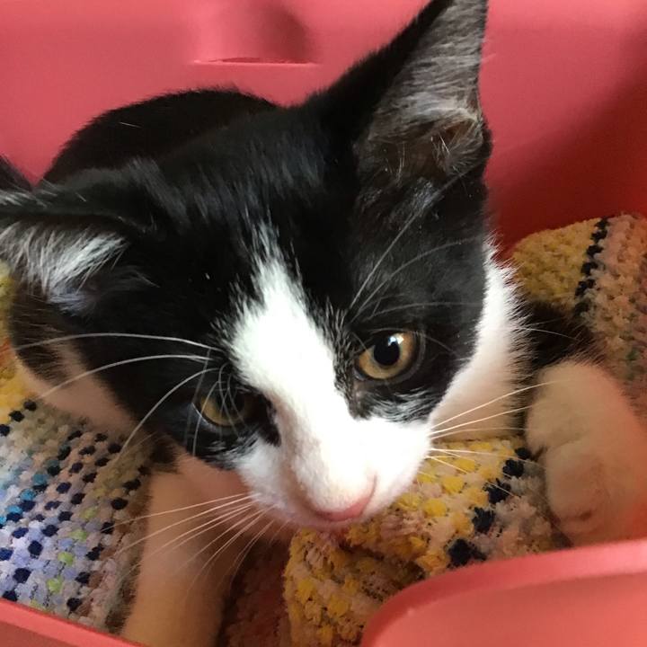 8a5c31ea 44d6 46be 8ad3 2bd34290976c 1626486578078