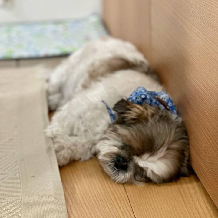 8a5c41b2 2c61 4aa4 a99b ca12ebba263c 1687054069131