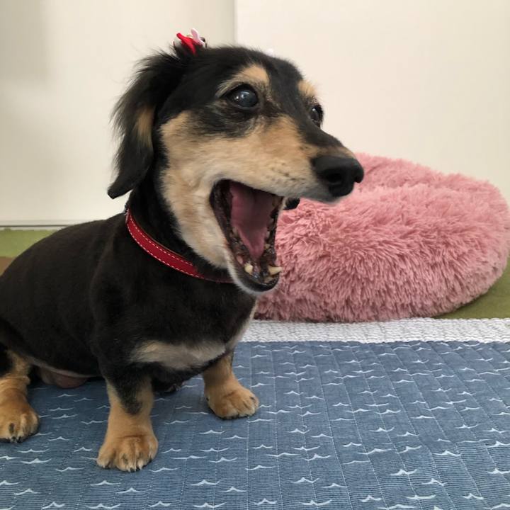 8a5c72fe 8a4d 49fb a967 5df2cd19ee3e 1630970826319