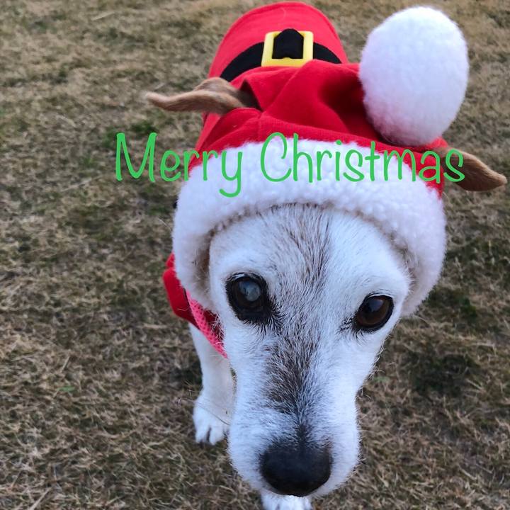 8a5ca993 1c14 40b8 834b b2e58f0487bf 1608781870265