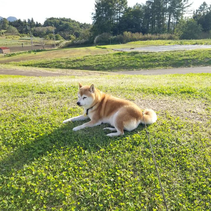 8a5cead9 d787 43c4 a8d2 3b8850f05f0f 1634800752227