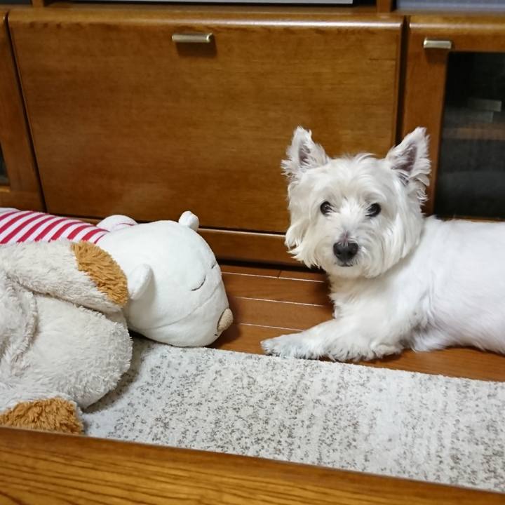 8a5d1430 9c07 4b30 8349 7c35061decf7 1532353774631