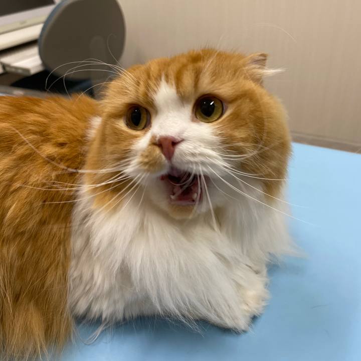 8a5d1785 d030 4e40 a2fe fcd61aaca0ca 1604314317976