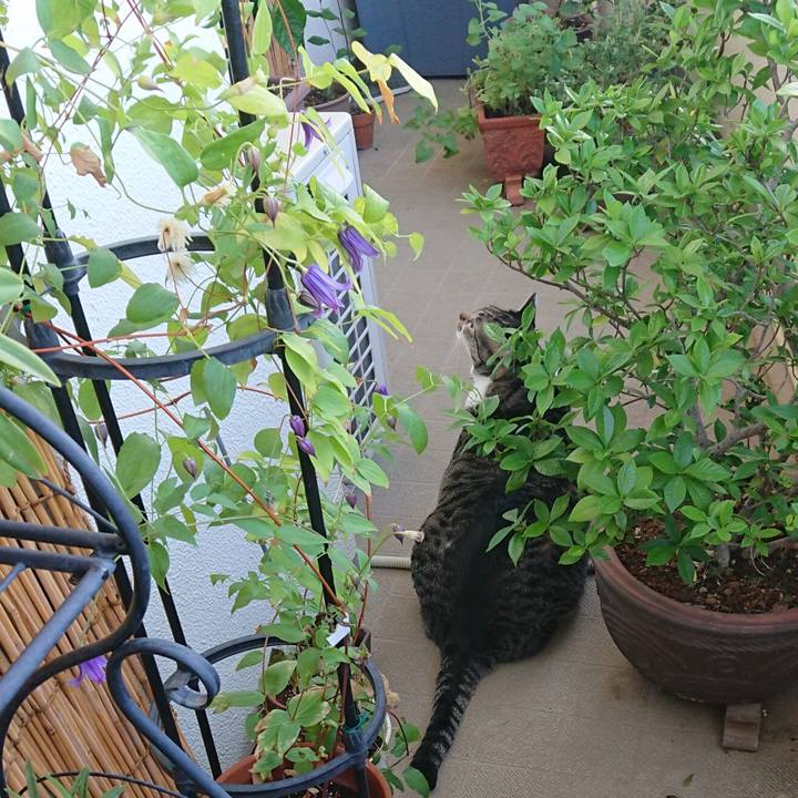 8a5d2433 8e03 4b69 b230 98b4d615f9fd 1534371322314