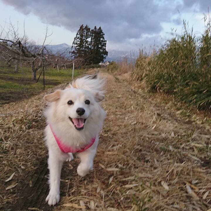 8a5d54be 0ba3 49e1 b3d9 716b6078b826 1516314855918