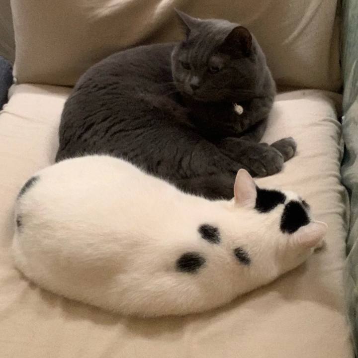 8a5d5550 087e 4e6c 89b4 7376846fd89d 1672347406882