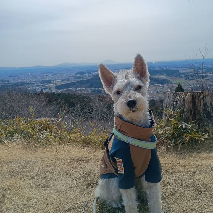 8a5d62ac f142 48dc 85a0 4f78d4305500 1773406030714