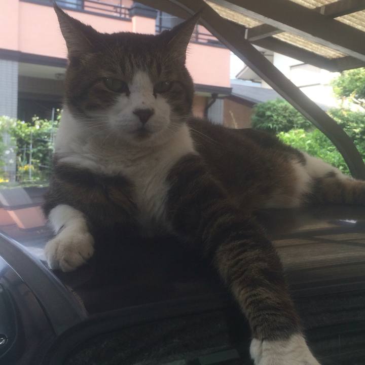 8a5d6a6a cc1f 4a42 a454 db0d981944ce 1560004633232